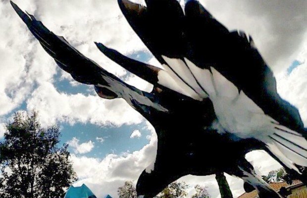 Ataque de hurracas a ciclistas. El gobierno australiano insiste en "tomar precauciones adicionales" [Vídeo]