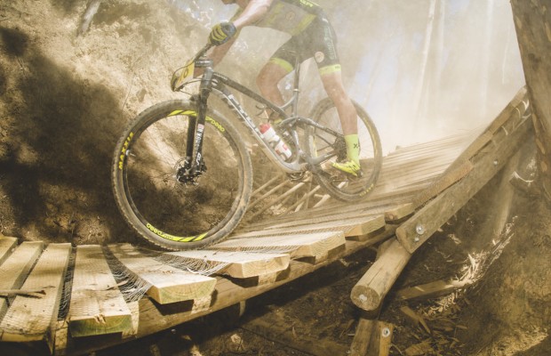 Confirmada la celebración de la Copa del Mundo de Stellenbosch, estas son las medidas que adoptarán