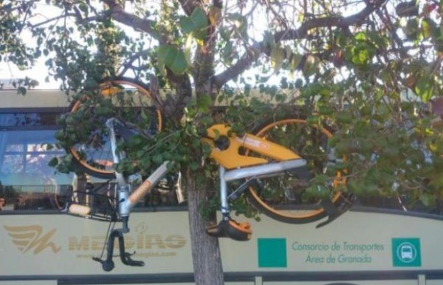 El vandalismo es el principal problema de las bicis compartidas y se están tomando medidas