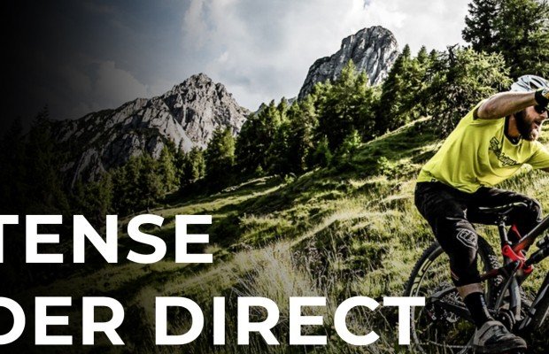 Intense se suma a la venta directa online con descuentos de hasta el 25 %