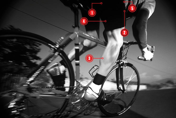 Los músculos del ciclismo
