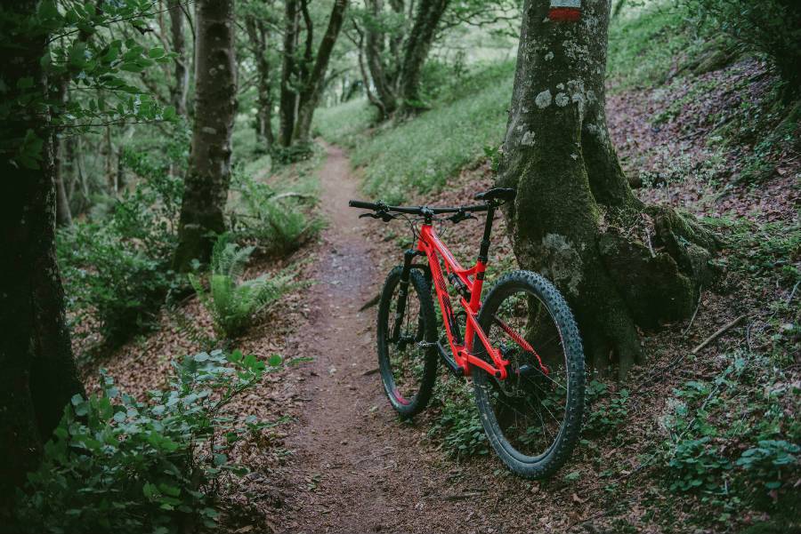 BH Lynx Race 2017, BH necesitaba una gran doble XC como esta