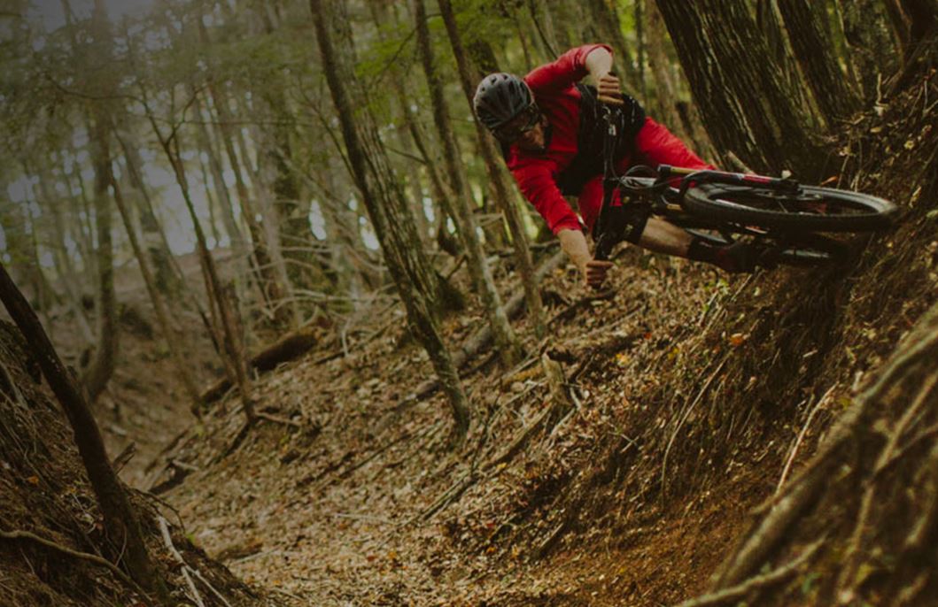 Specialized 2017 Stumpjumper